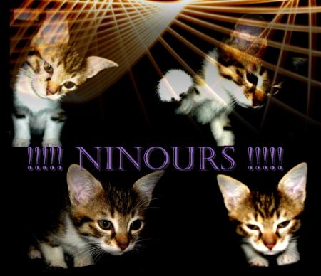 Ninours !!!!